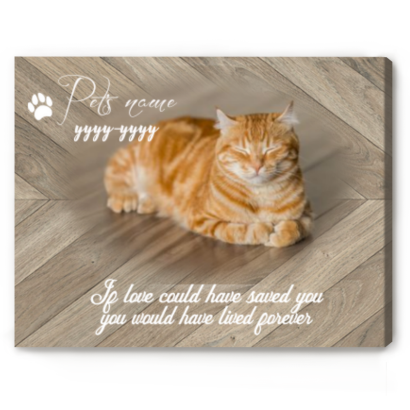 Cat Memorial Gifts Photo Print, Personalized Memorial Loss of Cat, Pet Loss Gifts Canvas