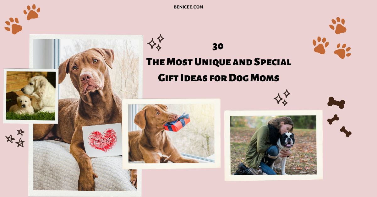 Top 10 Unique Gift Ideas for Dog Lovers that Make Their Heart Melt 2023