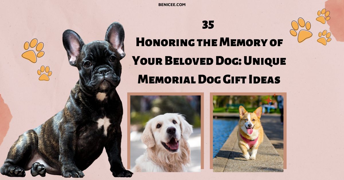 Top 10 Unique Gift Ideas for Dog Lovers that Make Their Heart Melt 2023 Blog Benicee Shop