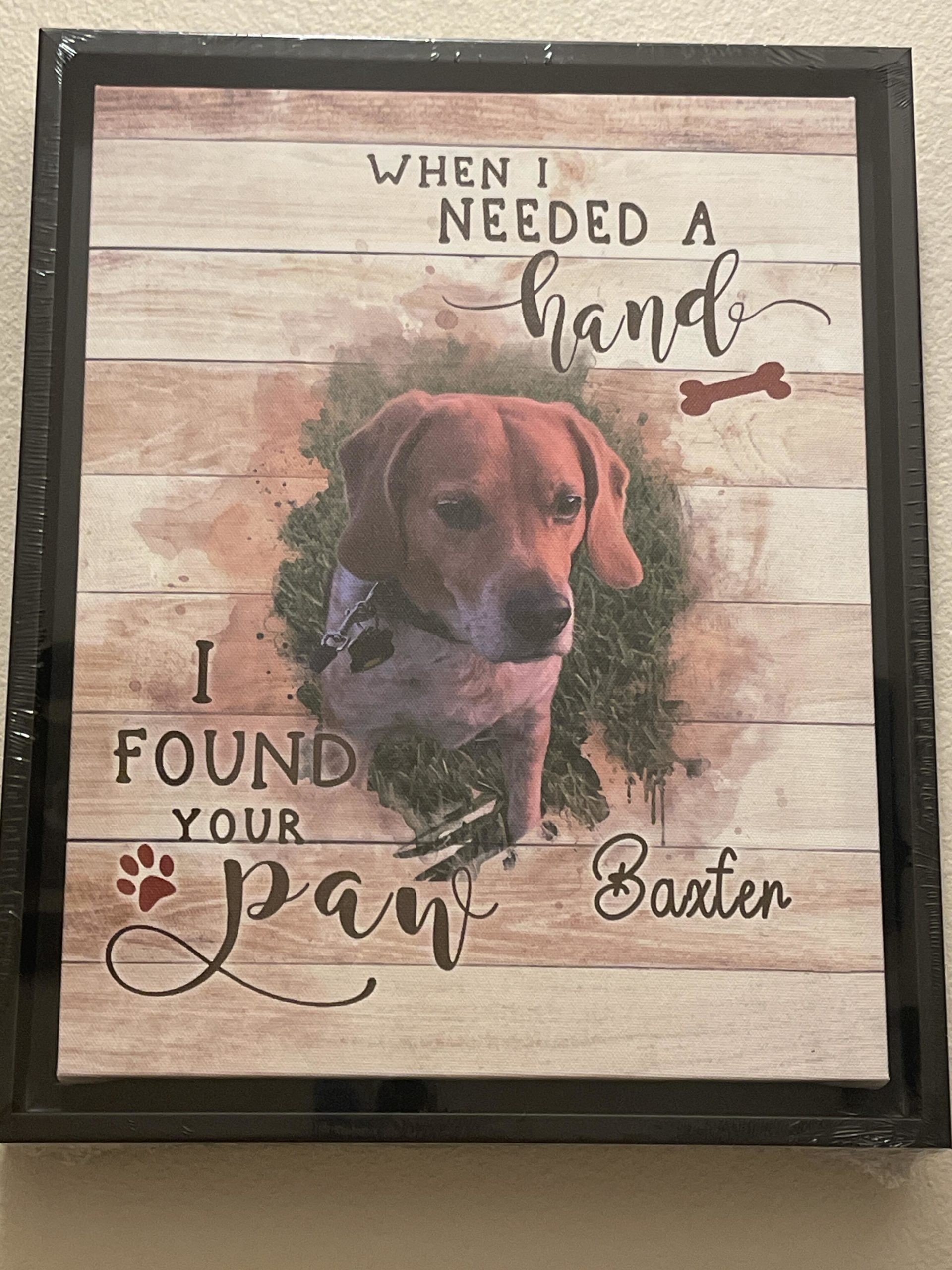 Image #1 from Julie Regan