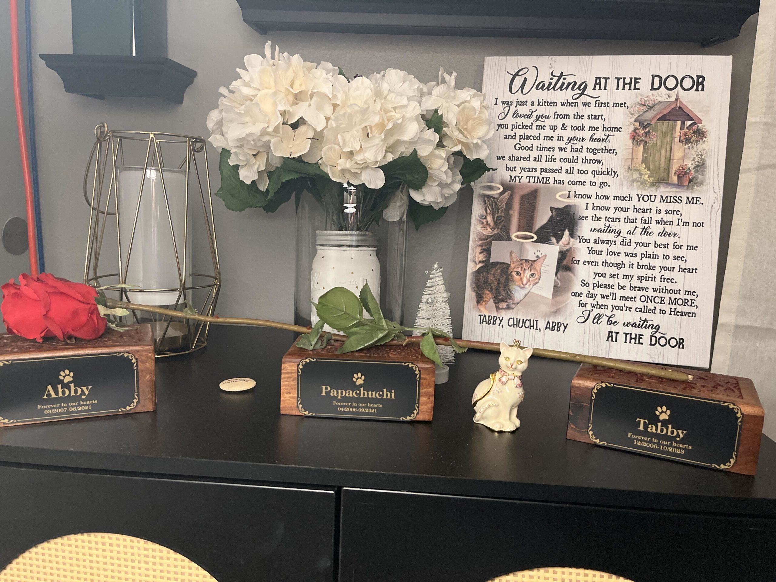 Image #1 from ILEANA HERAS