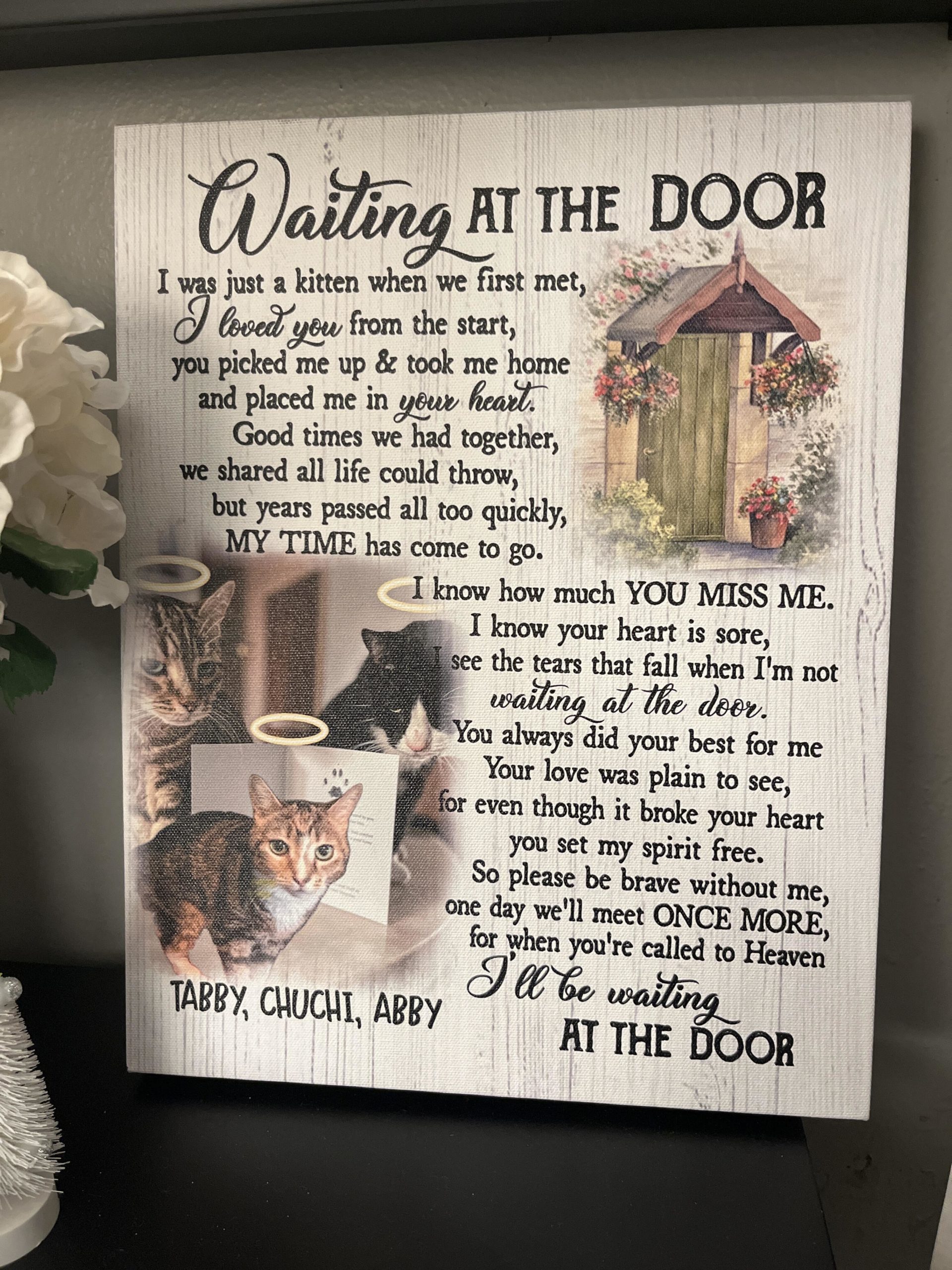 Image #2 from ILEANA HERAS