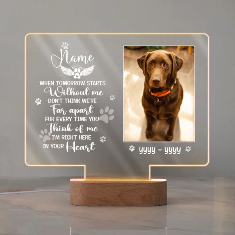 Custom Memorial Pet Frame Night Light, When Tomorrow Starts Without Me Personalized Acrylic Lamp, Pet Remembrance Gifts
