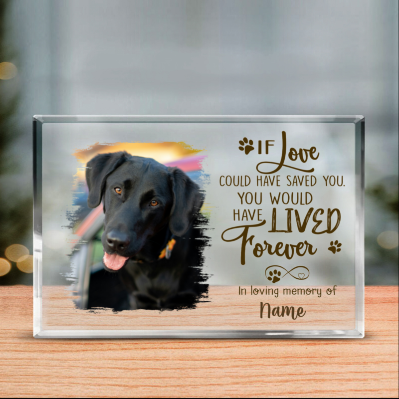 Custom Sympathy Dog Rectangle Acrylic Plaque, Personalized Memorial Dog Passing Gift, If Love Could Have Saved You, You Would Have Lived Forever