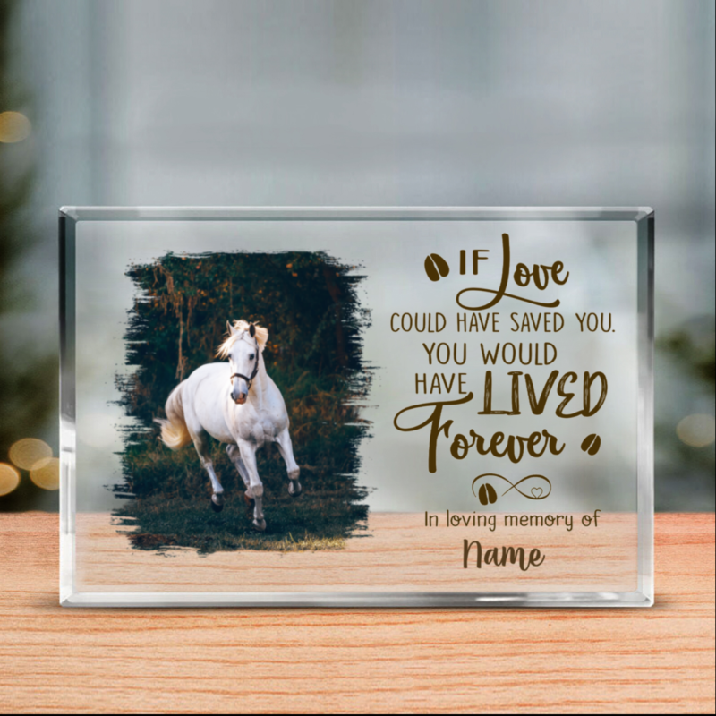 Custom Horse Memorial Rectangle Acrylic Plaque, Personalized Horse Loss Gift, If Love Could Have Saved You, You Would Have Lived Forever