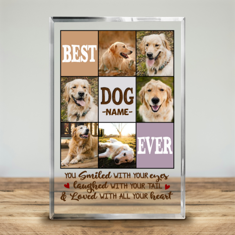 Best Dog Ever Personalized Photo Acrylic Block, Custom Dog Memorial Gifts, Dog Passing Gifts, Gifts for Dog Lovers, Dog Owner