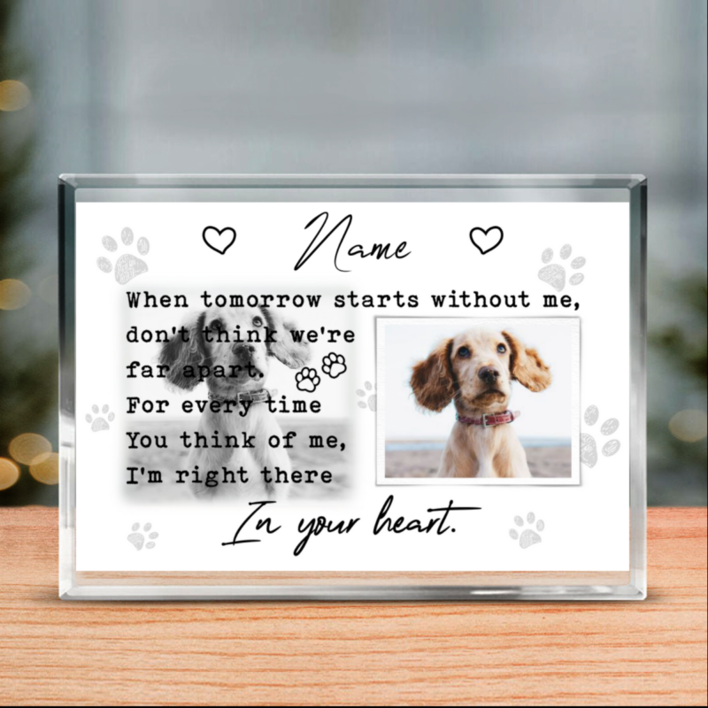Custom Acrylic Dog Portraits Block, Personalized Picture of My Dog Plaque, Gift For Losing Dog, Pet Loss Sympathy Gift, Pet Condolence Gifts