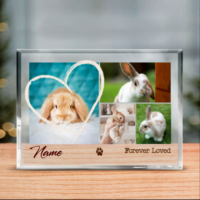 Forever Loved Custom Bunny Memorial Acrylic Block, Personalized Bunny Sympathy Gift, Bunny Rabbit Memorial Gift Idea, Bunny Pet Loss Gifts