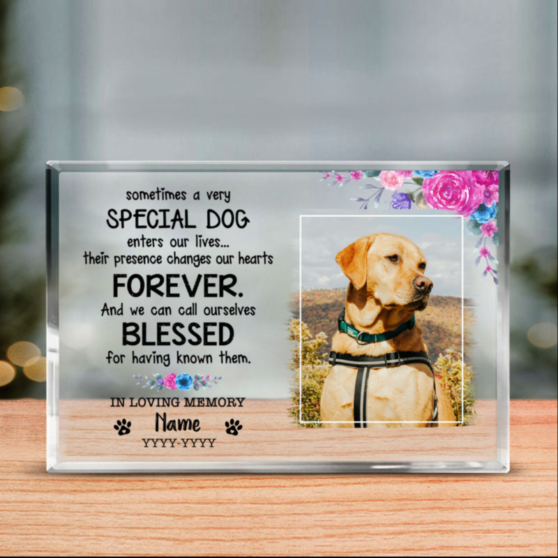 Sympathy Gift For Loss Of Dog, Personalized In Loving Memory Dog Acrylic Block, Dog Died Gift, Pet Memorial Gift, Pet Loss Gift