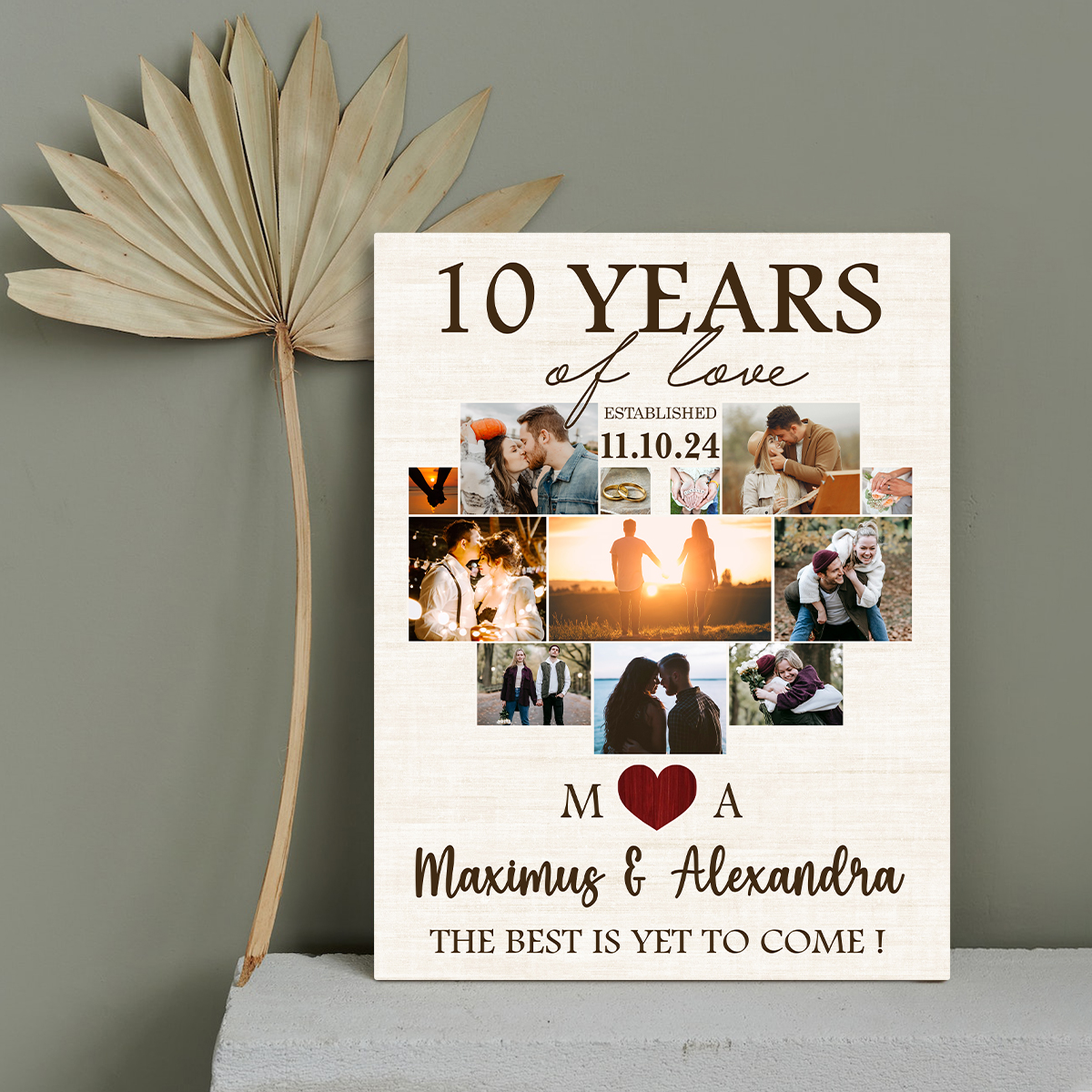 10 Year Anniversary Gift Male 10th Anniversary Gifts For Wife, 10