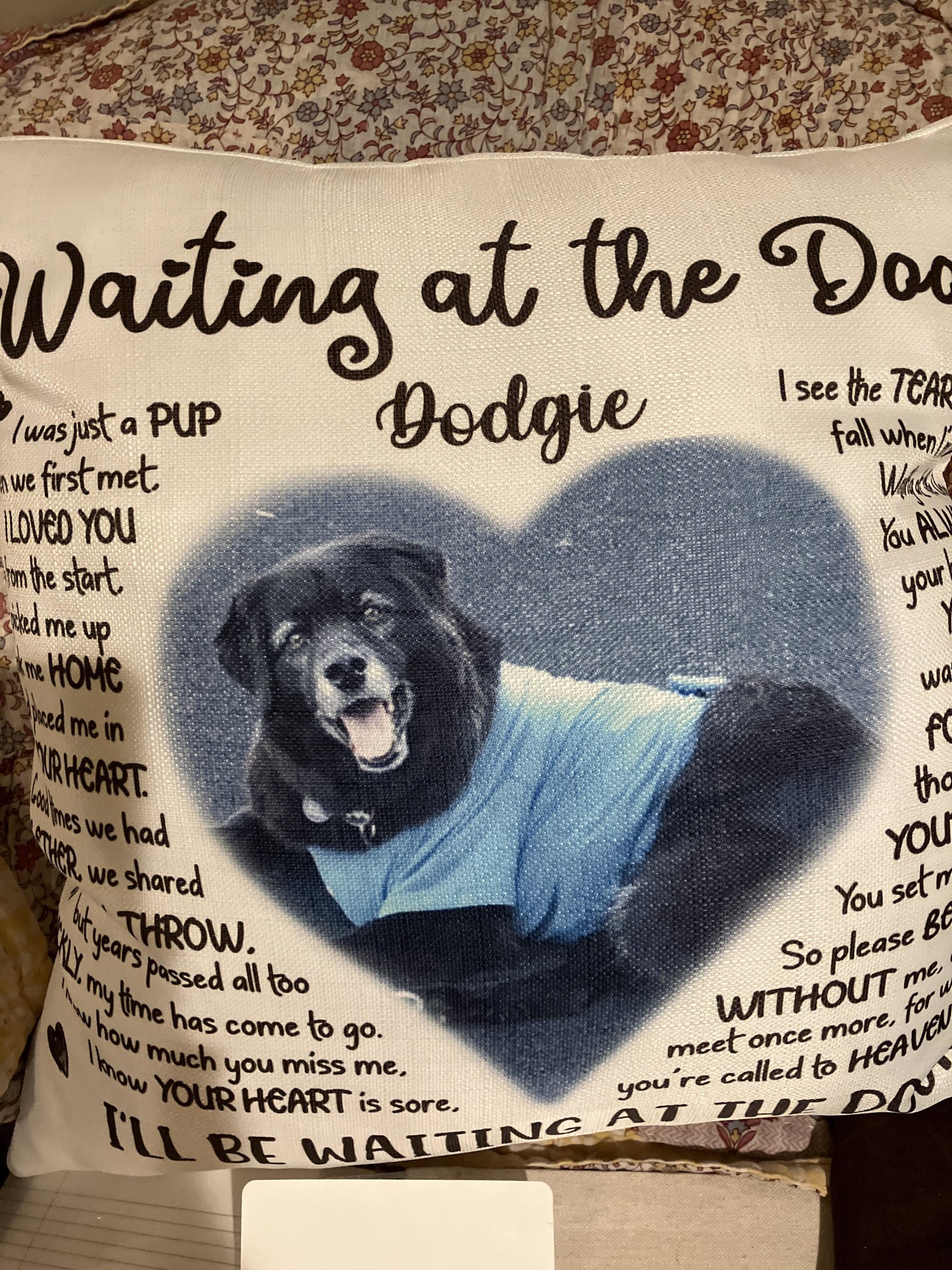 Image #1 from Christine L