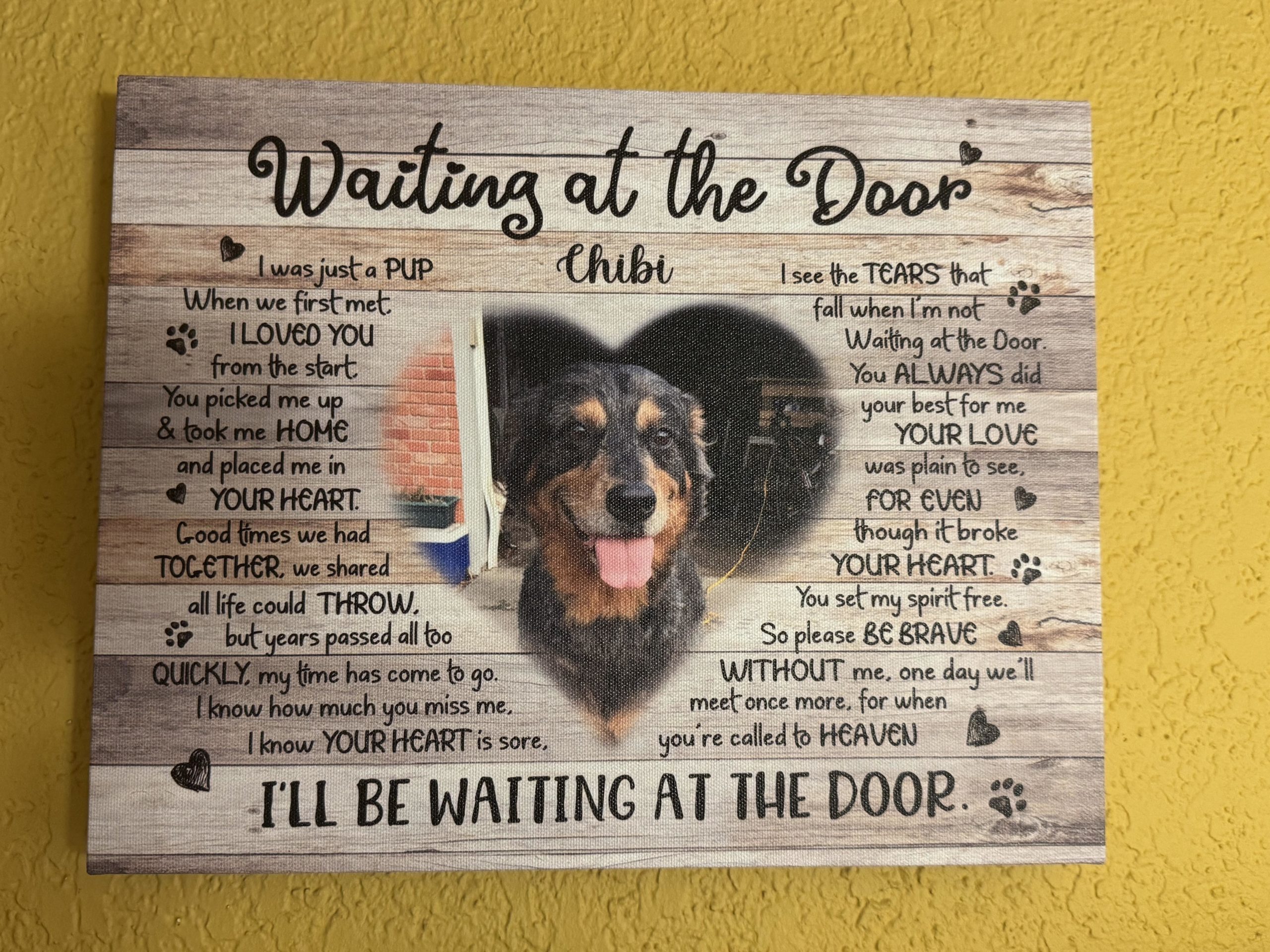 Image #1 from Selina