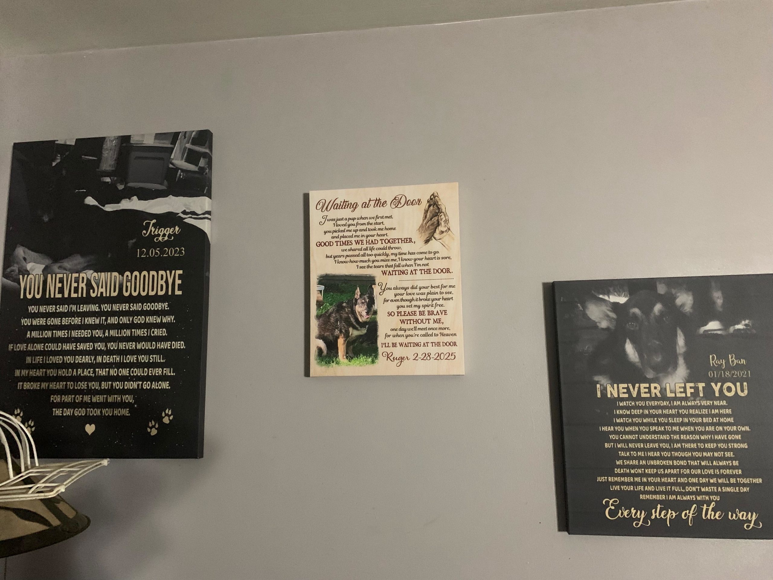 Image #1 from Jeannie Peyton