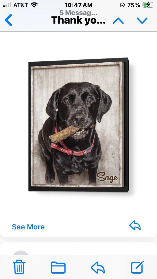 Image #1 from Susan Kohrer