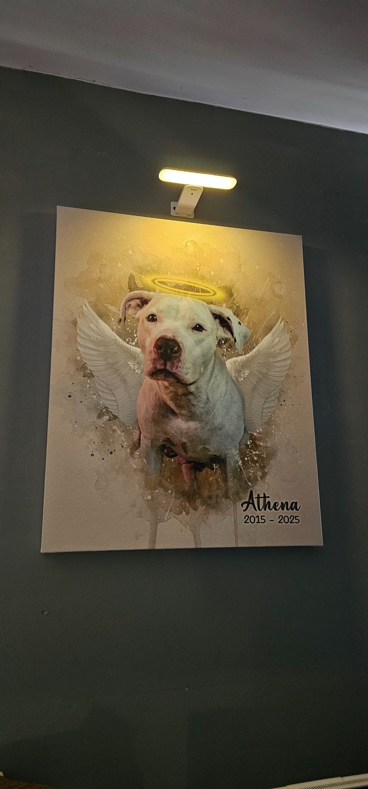 Image #1 from Chastity Toretta