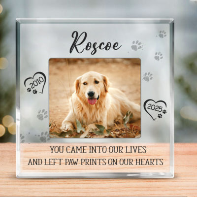 Custom Dog Photo Memorial Plaque - Pet Memorial Gift with photo, name, and years, decorated with paw prints and hearts, featuring the quote “You came into our lives and left paw prints on our hearts", a thoughful Pet Loss Gift