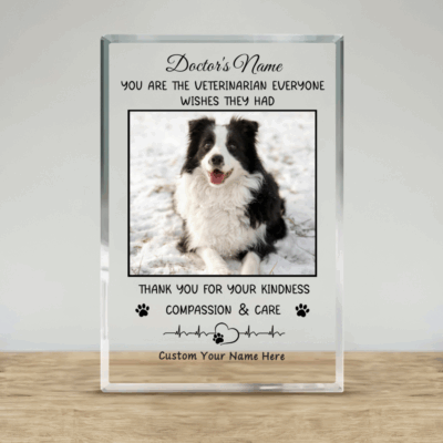 Personalized veterinarian thank you plaque with custom photo and name, pet appreciation gift for vet office décor.