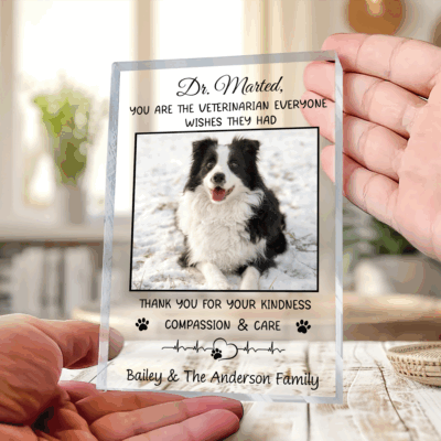 Personalized veterinarian thank you plaque with custom photo and name, pet appreciation gift for vet office décor.
