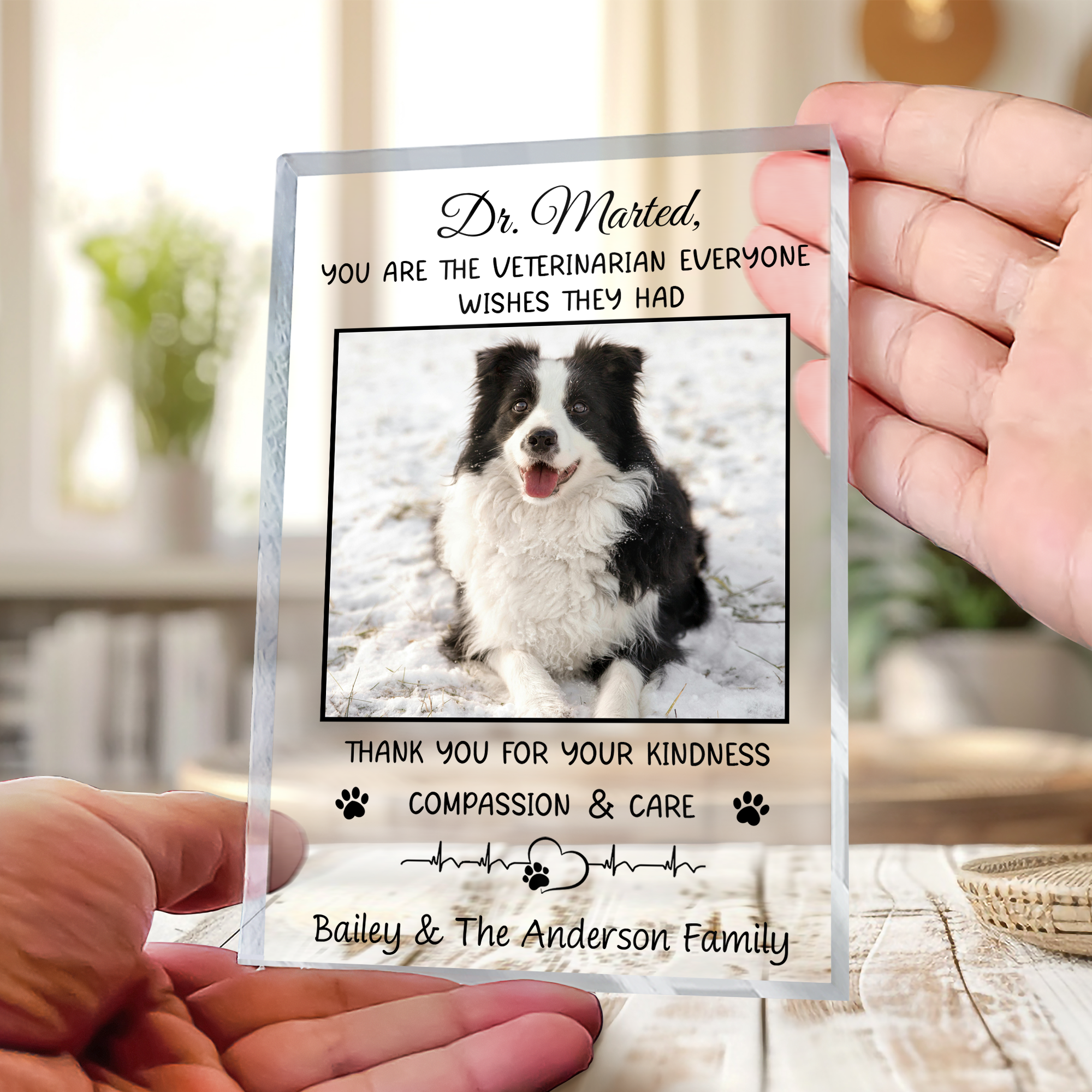 Personalized veterinarian thank you plaque with custom photo and name, pet appreciation gift for vet office décor.