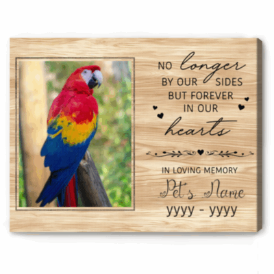 Personalized parrot memorial canvas with photo and name – sympathy gift for bird owners remembering a beloved parakeet.