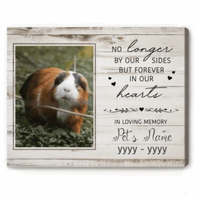 Personalized guinea pig memorial canvas – custom pet remembrance print and sympathy gift for guinea pig owners.