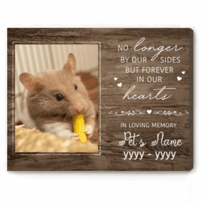 Personalized hamster memorial canvas with photo and name – sympathy gift for hamster and gerbil owners.