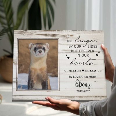 Personalized ferret memorial canvas with photo and name – sympathy gift for ferret owners.