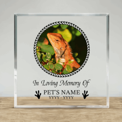 Custom lizard memorial acrylic plaque – personalized reptile pet memory keepsake and sympathy gift.