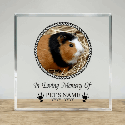Personalized guinea pig memorial plaque – custom pet sympathy keepsake for guinea pig and hamster owners.