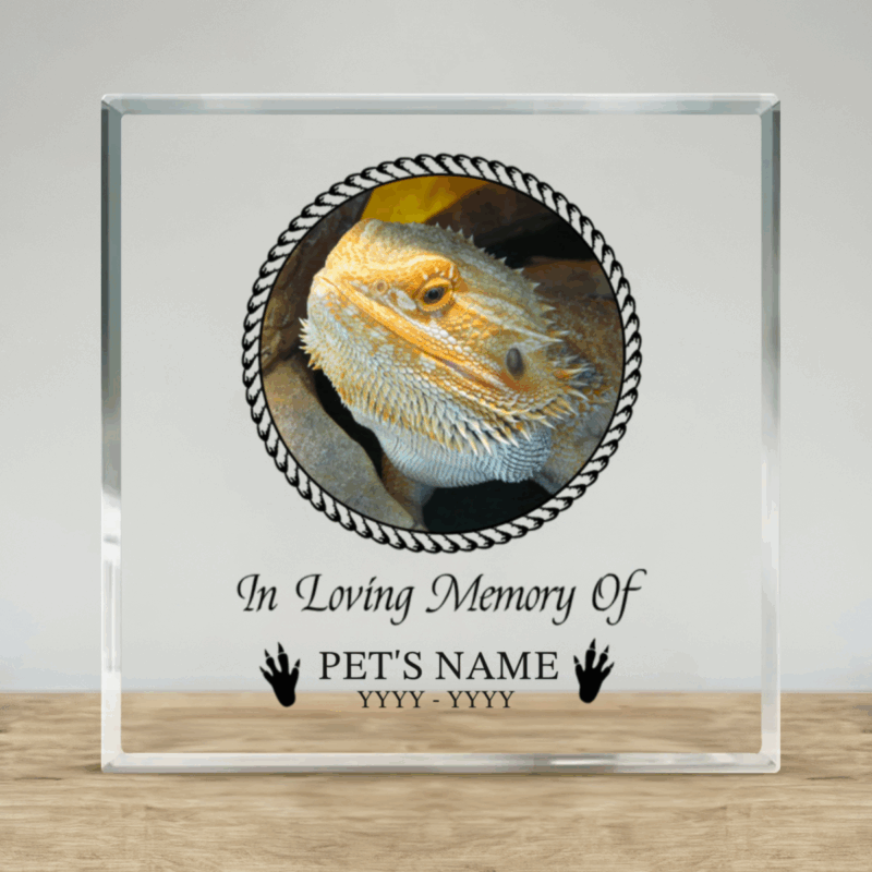 Personalized bearded dragon memorial plaque – custom pet loss keepsake and sympathy gift for reptile lovers.