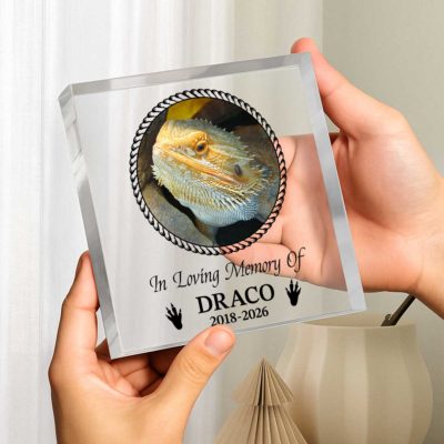 Personalized bearded dragon memorial plaque – custom pet loss keepsake and sympathy gift for reptile lovers.
