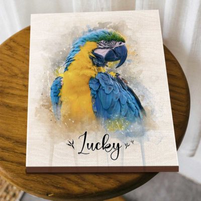 Personalized Parrot Portrait Canvas From Photo - Custom Parakeets Portrait Print With Name, Bird Lover Gift, Bird Owner Gift, Parrot Wall Art 14 Personalized Parrot Portrait Canvas From Photo - Custom Parakeets Portrait Print With Name, Bird Lover Gift, Bird Owner Gift, Parrot Wall Art