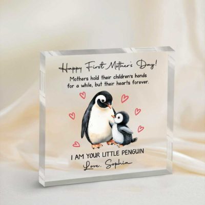 Personalized Penguin Acrylic Plaque for Mom - 1st Mothers Day Gift, Custom Baby Name Keepsake, I am Your Little Penguin Plaque