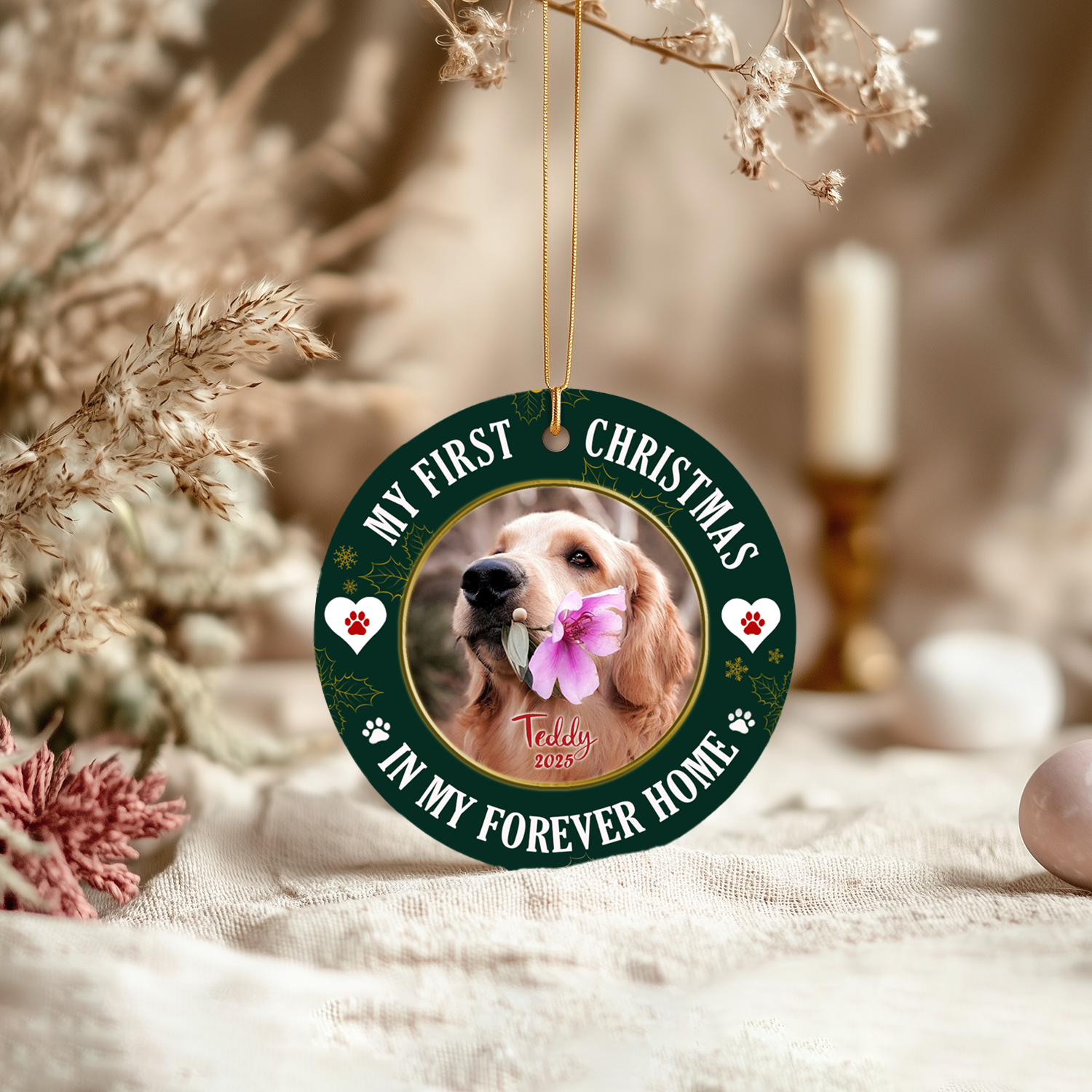 Pet Christmas Ornaments 