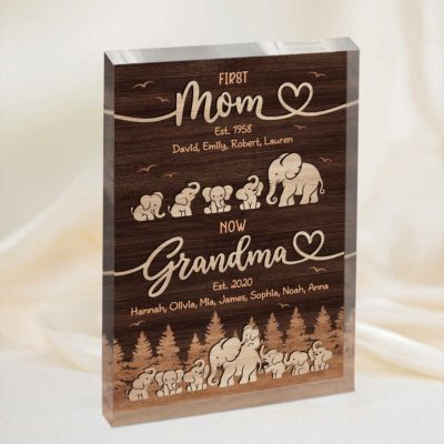 Personalized First Mom Now Grandma Elephant Plaque - Mothers Day Gift for Grandma with custom grandkids names, woodland elephant family design, and sentimental gift message for grandma.